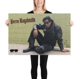Poster 2023B